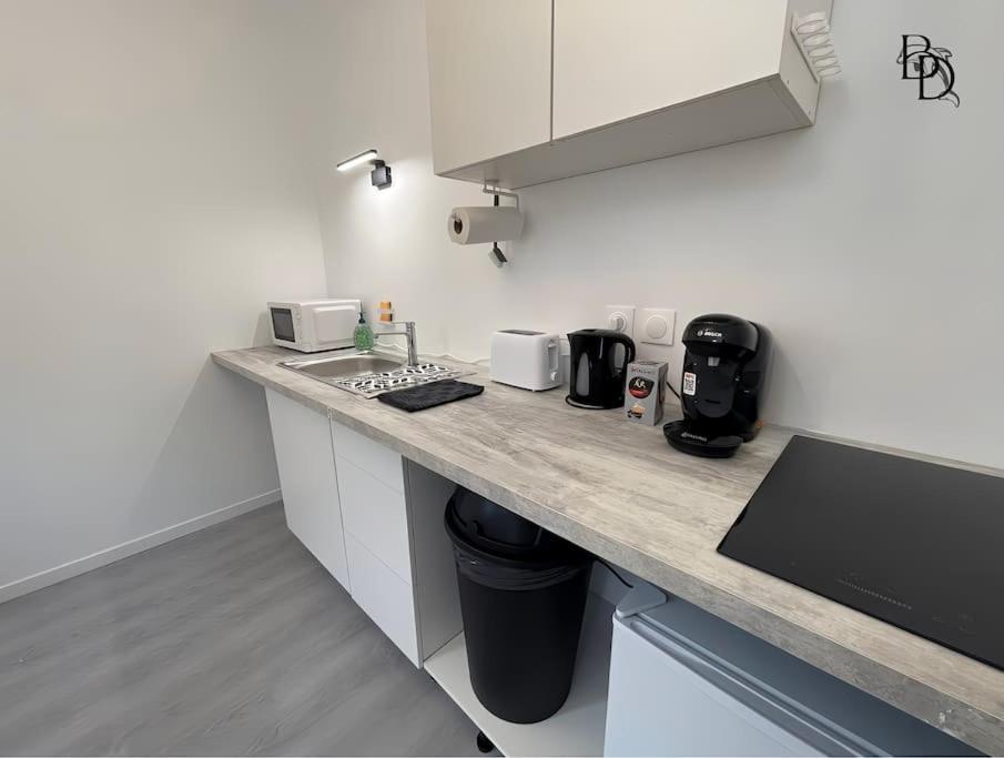 T1 Bis Appartement B3 30M2 Cosy 7Min A Pieds Des Gares Роанн Екстер'єр фото