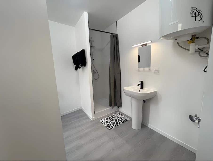 T1 Bis Appartement B3 30M2 Cosy 7Min A Pieds Des Gares Роанн Екстер'єр фото