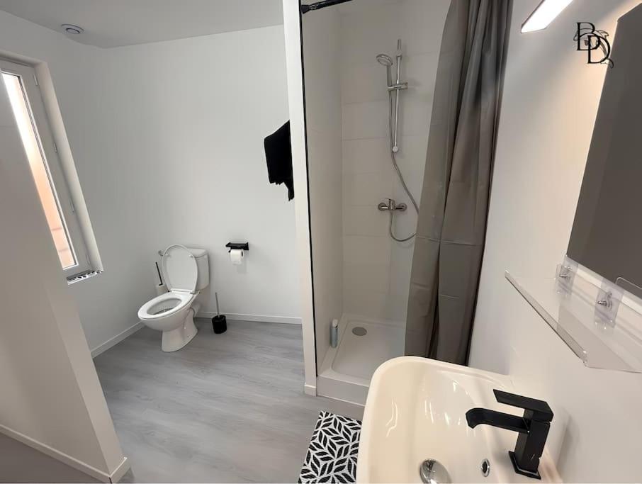 T1 Bis Appartement B3 30M2 Cosy 7Min A Pieds Des Gares Роанн Екстер'єр фото